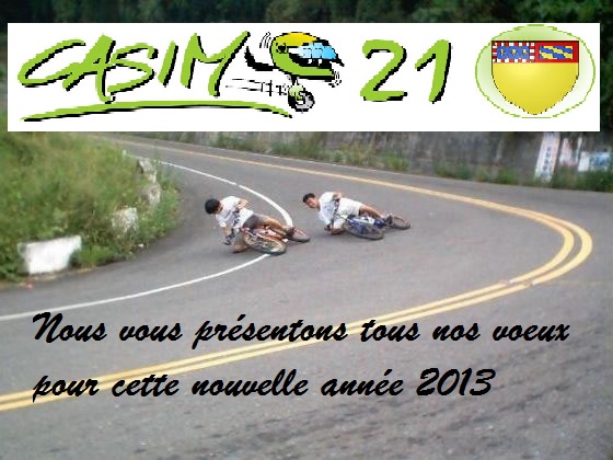 Bonne année 2013